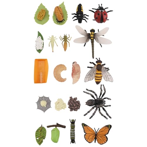 Nettoppo Leben Zyklus Figuren Von Schmetterling, Spinne, Biene, Marien, Libelle, Kunststoff Insekten Figuren, Spielzeug, Schul Projekt für Kinder Nettoppo Leben Zyklus Figuren Von Schmetterling, Spinne, Biene, Marien, Libelle, Kunststoff Insekten Figuren, Spielzeug, Schul Projekt für Kinder von Nettoppo