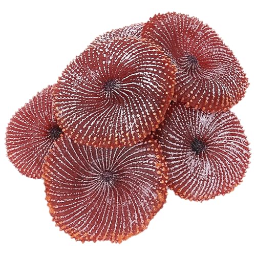 Nettoppo NEUES Set VON 6 MIKROFASER DAMPF MOP Boden WASCHBARE ERSATZTEILE Fuer von Nettoppo