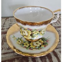 Royal Arden Teetasse Und Untertasse Mit Floralem Schwerem Goldband Fuß Set Nummeriert von Netty805
