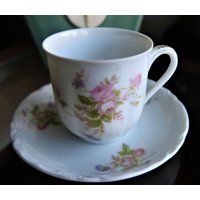 Thun Böhmen Tschechoslowakei Moos Rose Blumen Demitasse Tasse & Untertasse/Schokolade Tasse/Essen Und Servieren/Tee Tassen Sets/Trinkgeschirr von Netty805