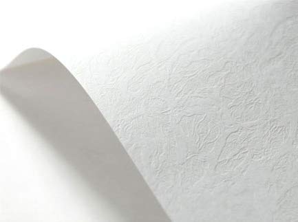 Netuno 10x Weiß Struktur-Papier Leder DIN A3 297x 420 mm 246g Elfenbeinkarton Ultraweiß Leder-Struktur-Prägung Bastel-Karton strukturiert ledergenarbt für Visitenkarten Einladungs-Karten Zertifikate von Netuno