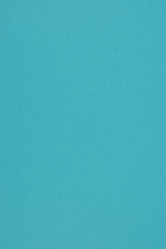 20 Blatt Blau Tonkarton DIN A4 210x297mm, 285g, Woodstock Azurro, ÖKO, Recyclingpapier - ideal für Hochzeit, Weihnachten, Geburtstag, Einladungen, Visitenkarten, Basteln und Dekorieren von Netuno