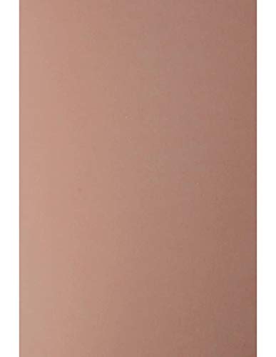 Netuno 10x Dunkel-Rose Kreativkarton DIN A4 210 x 297 mm 300g Keaykolour Rosebud Feinkarton ÖKO-Karton farbig Natur Bastelkarton Recycled remiumkarton für DIY Projekte Dekoration Kunst und Handwerk von Netuno