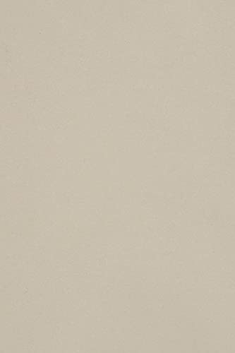 Netuno 10 x Tonkarton DIN A3 297x 420 mm Hellgrau 250g Burano Grigio Bastelkarton einfarbig Fotokarton A3 bunt durchgefärbt Feinpapier DIY Bogen Kreativ-Karton farbig buntes Tonpapier von Netuno