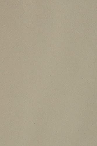 Netuno 10 x Tonkarton DIN A5 148,5x 210 mm Grau 250g Burano Pietra Foto-Karton durchgefärbt zum Basteln Gestalten DIY-Buntpapier A5 Feinpapier farbig Bastelkarton Tonzeichen-Papier von Netuno