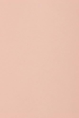 Netuno 10 x Tonkarton DIN A5 148,5x 210 mm Hellrosa 250g Burano Rosa Foto-Karton durchgefärbt zum Basteln Gestalten DIY-Buntpapier A5 Feinpapier farbig Bastelkarton Tonzeichen-Papier von Netuno