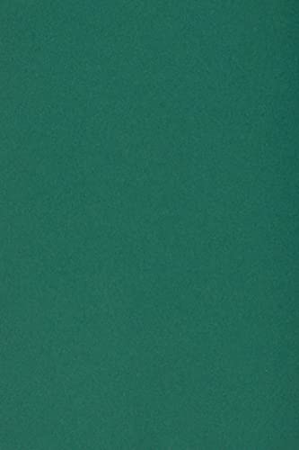 Netuno 10 x Tonkarton DIN SRA3 320x 450 mm Dunkelgrün 250g Burano English Green Bastelkarton bunt durchgefärbt Fotokarton zum Basteln und Gestalten Bogen groß Buntkarton Tonzeichenpapier Bastelpapier von Netuno