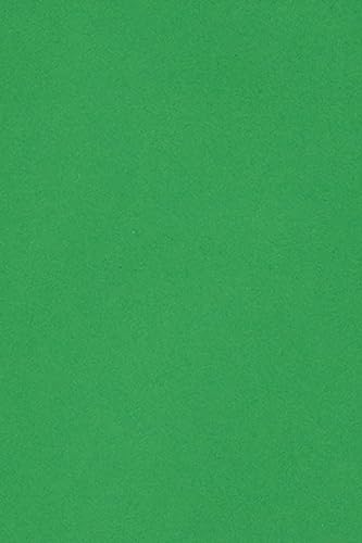 Netuno 10 x Tonkarton DIN SRA3 320x 450 mm Grün 250g Burano Verde Bandiera Bastelkarton bunt durchgefärbt Fotokarton zum Basteln und Gestalten Bogen groß Buntkarton Tonzeichenpapier Bastelpapier von Netuno