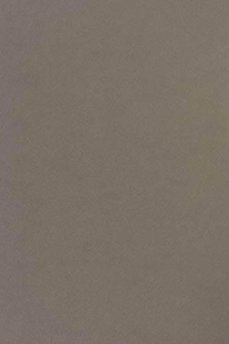 Netuno 100 Blatt Tonpapier Dunkel-Grau DIN A4 210× 297 mm 115g Sirio Color Pietra Bastel-Papier bunt hochwertig A4 Ton-Zeichen-Papier Tonpapier Karten für Hochzeit Geburtstag Taufe Weihnachten von Netuno