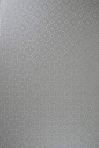 Netuno 100x Bastelkarton Perlmutt Silber DIN A4 21 x 29,7 cm 250g Aster Metallic Silver Disco Perlglanz Effektkarton farbig für Einladungen Karten dickes Papier glänzend mit Muster Netuno 100x Bastelkarton Perlmutt Silber DIN A4 21 x 29,7 cm 250g Aster Metallic Silver Disco Perlglanz Effektkarton farbig für Einladungen Karten dickes Papier glänzend mit Muster von Netuno