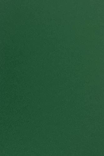 Netuno 10x Tonkarton Dunkel-Grün DIN A4 210 x 297 mm 170g Sirio Color Foglia Bastelkarton A4 Ton-Zeichen-Karton hohe Qualität für Druckaufgaben Einladungs-Karten Hochzeits-Karten von Netuno