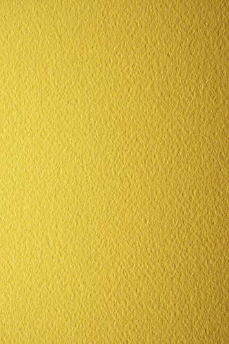 Netuno 10x Tonkarton Hellgelb einseitig strukturiert DIN A4 210x 297 mm 220g Prisma Girasole Strukturkarton A4 Bastelpapier mit Struktur bunt geprägter Tonkarton hochwertig zum Basteln von Netuno