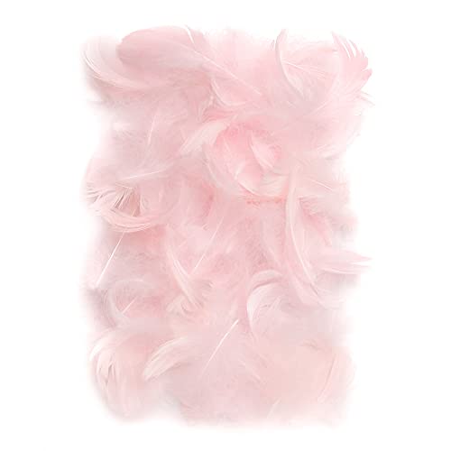 Netuno 150 Stück Rosa Deko Federn 10g Flaumfedern Federn Schmuckfedern Vogelfedern Bastelfedern Natur für DIY Basteln Dekoration Ostern Weihnachten Dekofigur von Netuno