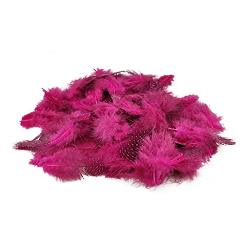 Netuno 150 Stück Deko Federn Rosa 6g Perlhuhn Gepunktete Schmuckfedern Vogelfedern Bastelfedern Natur für DIY Basteln Dekoration Ostern Weihnachten Dekofigur Netuno 150 Stück Deko Federn Rosa 6g Perlhuhn Gepunktete Schmuckfedern Vogelfedern Bastelfedern Natur für DIY Basteln Dekoration Ostern Weihnachten Dekofigur von Netuno