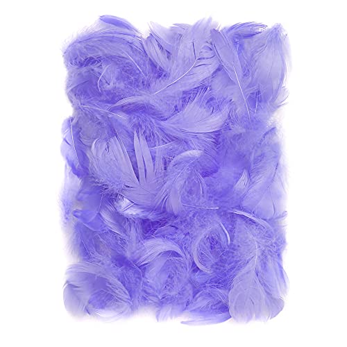 Netuno 150 Stück Violett Deko Federn 10g Flaumfedern Federn Schmuckfedern Vogelfedern Bastelfedern Natur für DIY Basteln Dekoration Ostern Weihnachten Dekofigur von Netuno