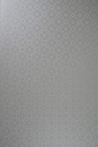 Netuno 20x Bastelkarton Perlmutt-Silber DIN A4 210x 297 mm 250g Aster Metallic Silver Disco Pearlkarton Silber Perl-Glanz Bastelpapier metallisch glänzend Effektkarton mit Muster silbern von Netuno