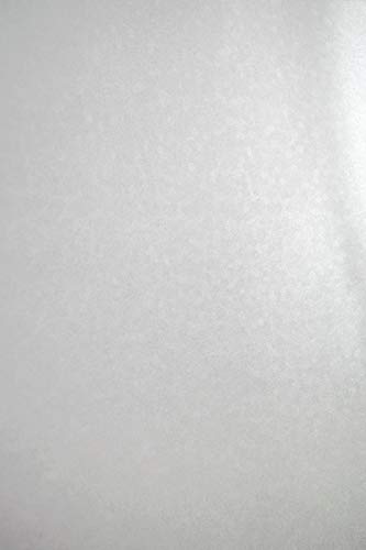 Netuno 20x Bastelkarton Perlmutt Weiß DIN A4 21 x 29,7 cm 250g Aster Metallic White Sequins Perlglanz Effektkarton farbig für Einladungen Karten dickes Papier glänzend mit Muster von Netuno