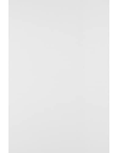Netuno 50 Blatt Bristolkarton weiß DIN A3 29,7 x 42 cm 250g stabiler Bastelkarton glatt für DIY Basteln Malen Beschreiben Selbstgestalten Bastelbogen Bristolpapier Kartonpapier bedruckbar von Netuno