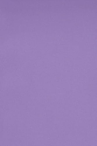 Netuno 50 x Tonkarton DIN A3 297x 420 mm Violett 250g Burano Violet Bastelkarton einfarbig Fotokarton A3 bunt durchgefärbt Feinpapier DIY Bogen Kreativ-Karton farbig buntes Tonpapier von Netuno