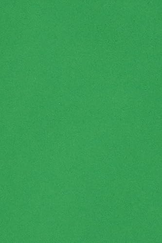 Netuno 50 x Tonkarton DIN A5 148,5x 210 mm Grün 250g Burano Verde Bandiera Foto-Karton durchgefärbt zum Basteln Gestalten DIY-Buntpapier A5 Feinpapier farbig Bastelkarton Tonzeichen-Papier von Netuno