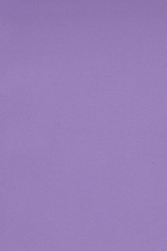 Netuno 50 x Tonkarton DIN SRA3 320x 450 mm Violett 250g Burano Violet Bastelkarton bunt durchgefärbt Fotokarton zum Basteln und Gestalten Bogen groß Buntkarton Tonzeichenpapier Bastelpapier von Netuno