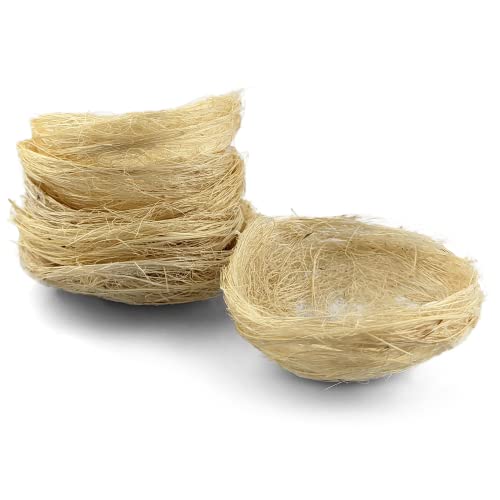 Netuno 6X Deko-Vogelnest Ostern aus Sisal 7 cm Creme Osternest naturgetreues Vogelnest Zuchtnest Stroh Oster-Dekoration Naturnest Deko-Nest naturfarben Frühlingsdeko Tischdeko Osterschmuck Garten von Netuno