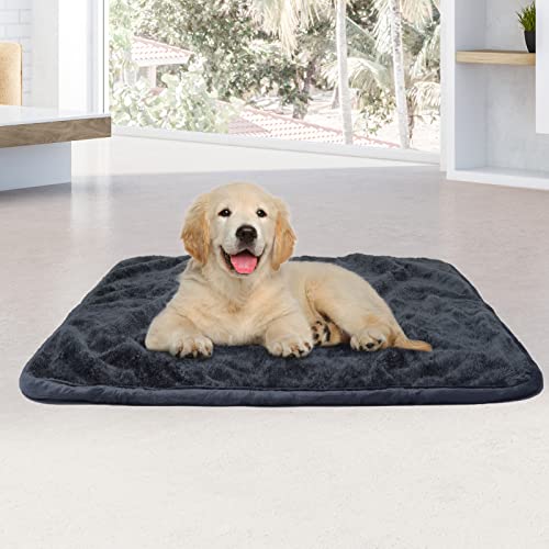 NeuWee Hundedecke Wasserdicht, Weiche Doppelseitige Decke, 80x100cm Waschbare Flauschig Fleecedecke für Haustier Hunde Katze, Superabsorber kann Urin Trennen von NeuWee