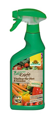 Neudorff BioKraft Vitalkur für Obst & Gemüse AF vitalisiert durch natürlichem Schachtelhalm schädlings- und krankheitsanfälliges Pflanzen, 500 ml von Neudorff