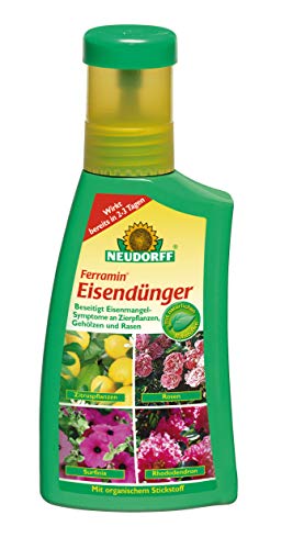 Neudorff Ferramin Eisendünger – Natürlicher Eisendünger für Zitruspflanzen, Zierpflanzen und Rasen für kräftig-grüne Blätter und Rasengräser, 250 ml von Neudorff