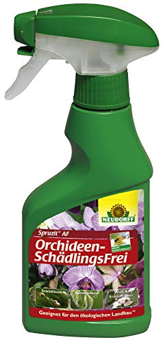 NEUDORFF - Spruzit AF Orchideen SchädlingsFrei - 250 ml von Neudorff