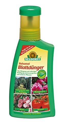 Neudorff Balsamol Blattdünger – Zur Düngung und sofortigen Kräftigung von geschwächten Koniferen, Rosen, Tomaten und anderen Pflanzen, 250 ml von Neudorff