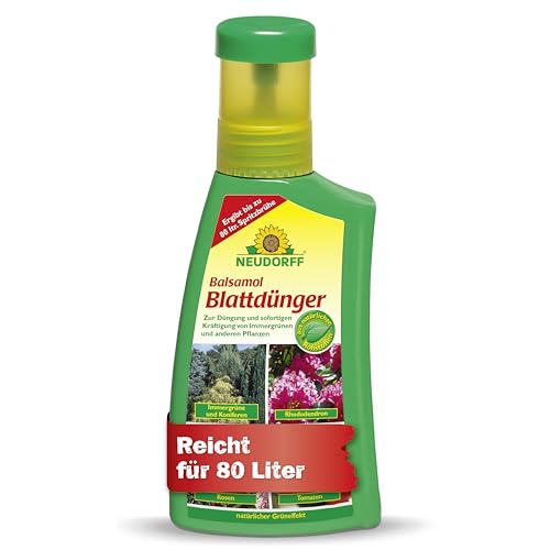 Neudorff Balsamol Blattdünger – Zur Düngung und sofortigen Kräftigung von geschwächten Koniferen, Rosen, Tomaten und anderen Pflanzen, 250 ml von Neudorff