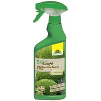 Neudorff - BioKraft Vitalkur Buxus Ilex af 500 ml anwendungsfertig von Neudorff