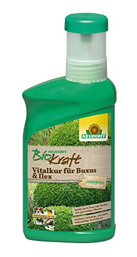 Neudorff BioKraft Vitalkur für Buxus & Ilex – Konzentrat vitalisiert geschwächte Buchsbäume durch Schädlinge, Krankheiten, Frost und Trockenheit, 300 ml Neudorff BioKraft Vitalkur für Buxus & Ilex – Konzentrat vitalisiert geschwächte Buchsbäume durch Schädlinge, Krankheiten, Frost und Trockenheit, 300 ml von Neudorff