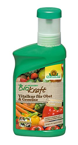 Neudorff BioKraft Vitalkur für Obst & Gemüse – Konzentrat mit natürlichem Schachtelhalm vitalisiert schädlings- und krankheitsanfälliges Pflanzen, 300 ml Neudorff BioKraft Vitalkur für Obst & Gemüse – Konzentrat mit natürlichem Schachtelhalm vitalisiert schädlings- und krankheitsanfälliges Pflanzen, 300 ml von Neudorff
