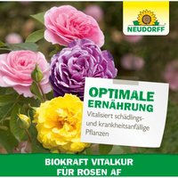 Neudorff BioKraft Vitalkur für Rosen AF - 500 ml von Neudorff