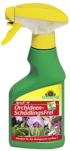 Neudorff Spruzit AF Orchideen SchädlingsFrei gegen Schild-, Wollläusen und anderen Schädlingen an Orchideen, 250 ml von Neudorff