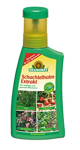 Schachtelhalmextrakt 250 ml von Neudorff