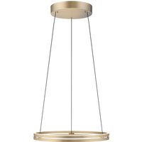 Neuhaus PURE by Paul Neuhaus PURE E-Loop LED Pendelleuchte mit e-LIFT und CCT Ø: 50 cm, Messing matt von Neuhaus PURE by Paul Neuhaus