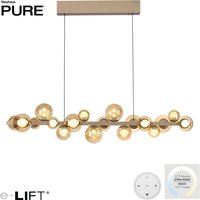 Neuhaus PURE by Paul Neuhaus PURE E-Popup LED Pendelleuchte mit e-LIFT und CCT Bronze hell Neuhaus PURE by Paul Neuhaus PURE E-Popup LED Pendelleuchte mit e-LIFT und CCT Bronze hell von Neuhaus PURE by Paul Neuhaus