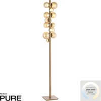 Neuhaus PURE by Paul Neuhaus PURE Popup LED Stehleuchte mit CCT Bronze hell von Neuhaus PURE by Paul Neuhaus