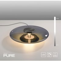 Neuhaus PURE by Paul Neuhaus PURE Vitrum LED Tischleuchte grau von Neuhaus PURE by Paul Neuhaus