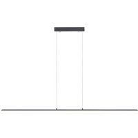 Neuhaus PURE by Paul Neuhaus PURE Lite LED Pendelleuchte mit CCT Länge: 160 cm, graphit von Neuhaus PURE by Paul Neuhaus