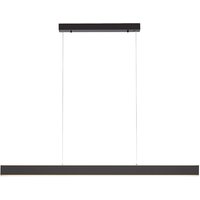 Neuhaus PURE by Paul Neuhaus PURE Lume LED Pendelleuchte mit CCT graphit von Neuhaus PURE by Paul Neuhaus