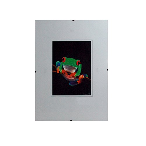 Rahmenloser Bilderhalter mit Kunstglas klar, 1,0 mm Polystyrolglas, vernicklete Halteclips, 15x21 cm von Neumann Bilderrahmen