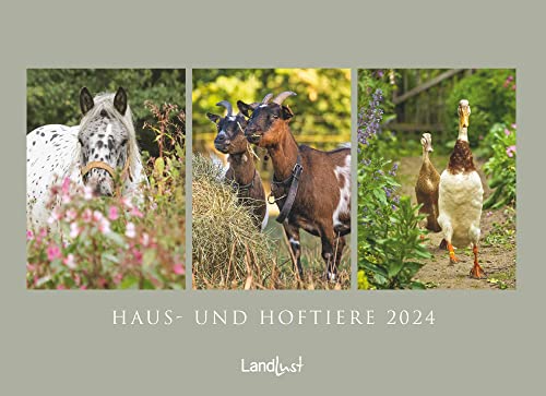 Landlust: Haus- und Hoftiere 2024 Wand-Kalender - Poster-Kalender - Fotografie - Gartenkalender 62x45 von Neumann Verlage GmbH & Co. KG