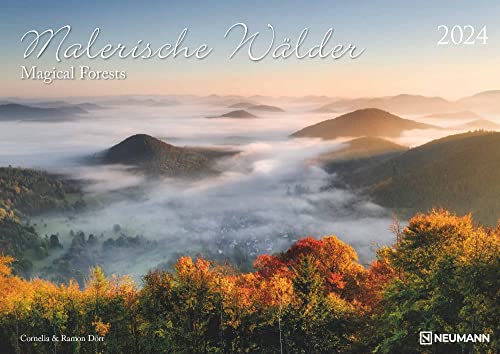 Malerische Wälder 2024 - Wand-Kalender - 42x29,7 - Wald - Natur: Magical Forests von Neumann Verlage GmbH & Co. KG