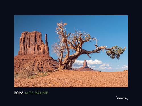 Alte Bäume, Sinnbilder des Lebens - KUNTH Wandkalender 2026: Hochwertiger, bildstarker Kalender mit Spiralbindung im Großformat (KUNTH Wandkalender Black Edition 60 x 45 cm) von Alpha Edition