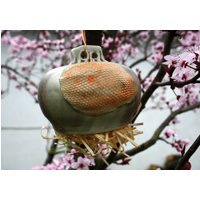 Gartenkeramik Insektenkugel Ohrwurmkugel Zum Hinhängen Keramik Für Garten Frostfest Gartenkeramik Insektenkugel Ohrwurmkugel Zum Hinhängen Keramik Für Garten Frostfest von NeutonKeramik