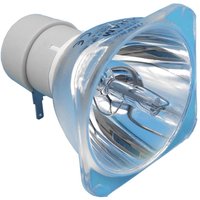Beamerlampe (nur Leuchtmittel) für OPTOMA (ersetzt: SP.8AF01GC01 BL-FU220D) von Osram